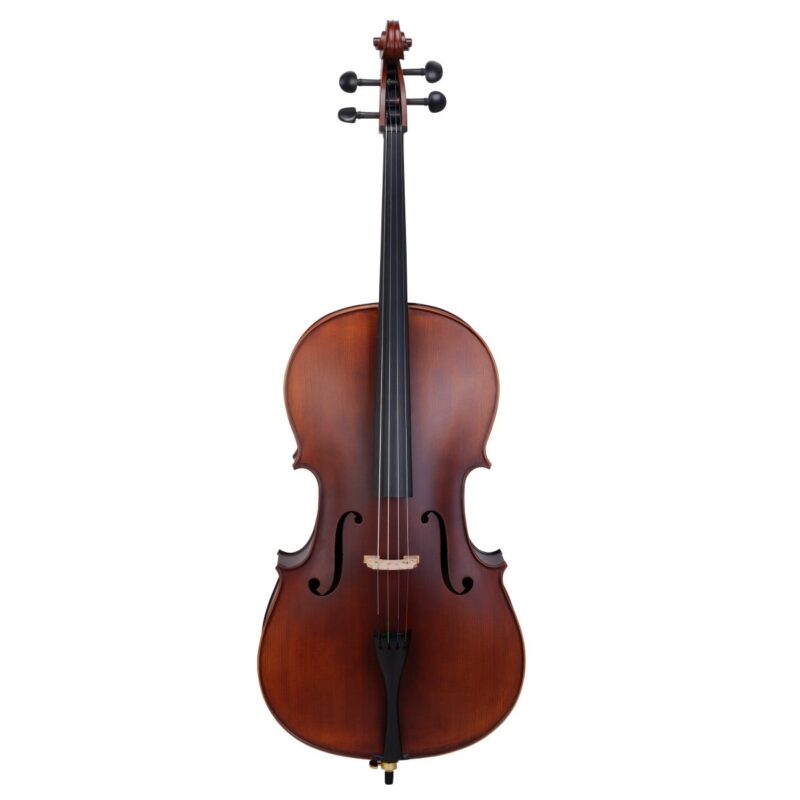 VIOLONCELLO SOUNDSATION VPCE 3/4 - immagine 2