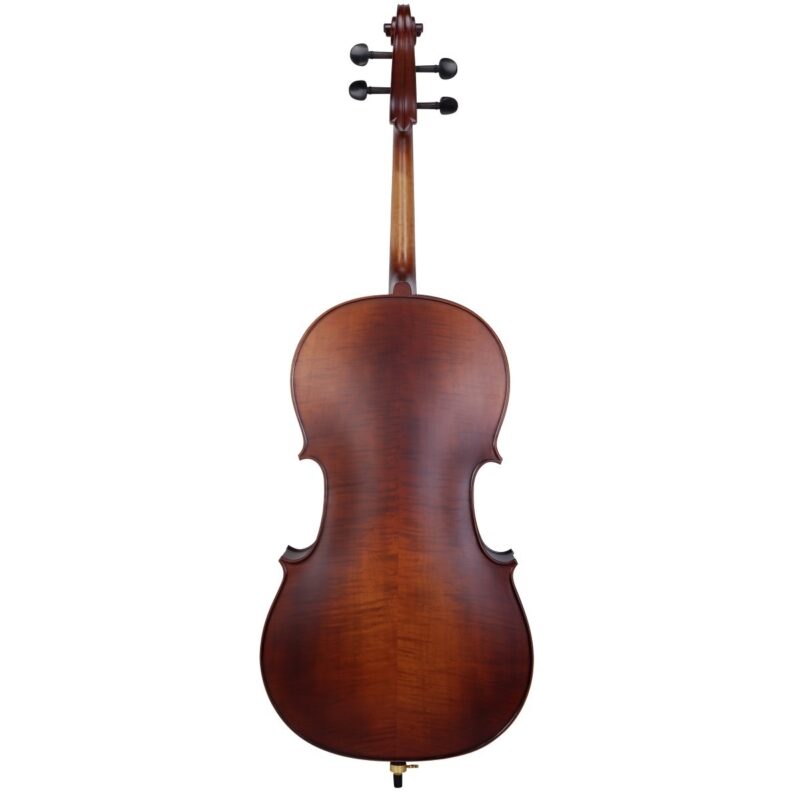 VIOLONCELLO SOUNDSATION VPCE 3/4 - immagine 3