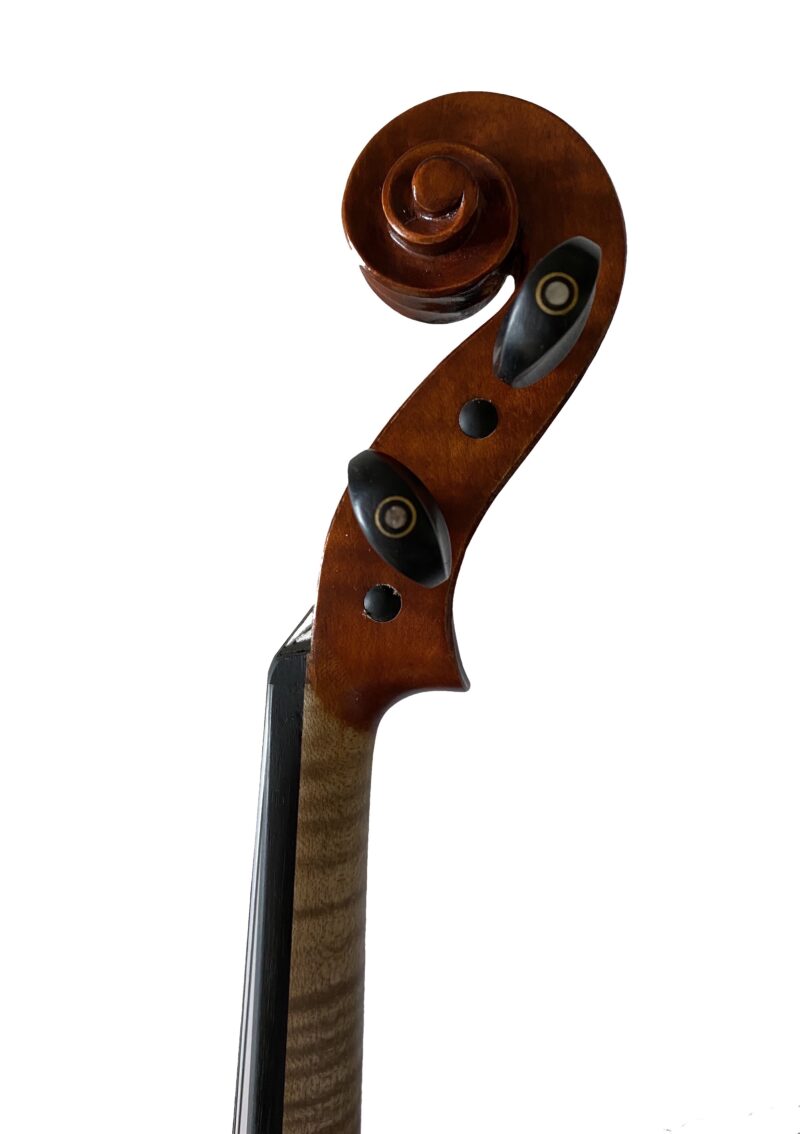 VIOLINO FENICE STUDENT SET C 4/4 - immagine 4