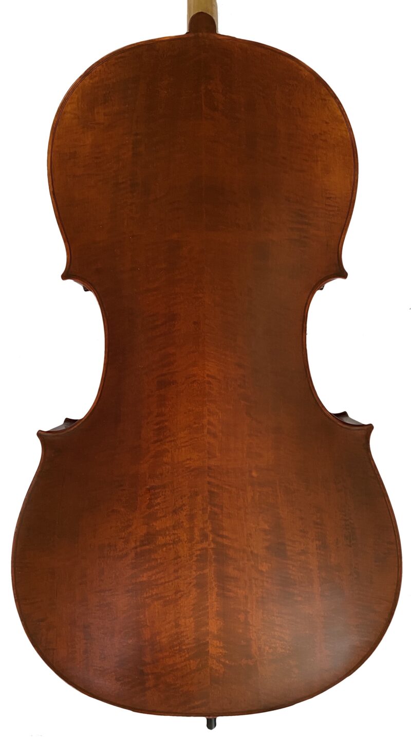 VIOLONCELLO FENICE STUDENT SET C 3/4 - immagine 2