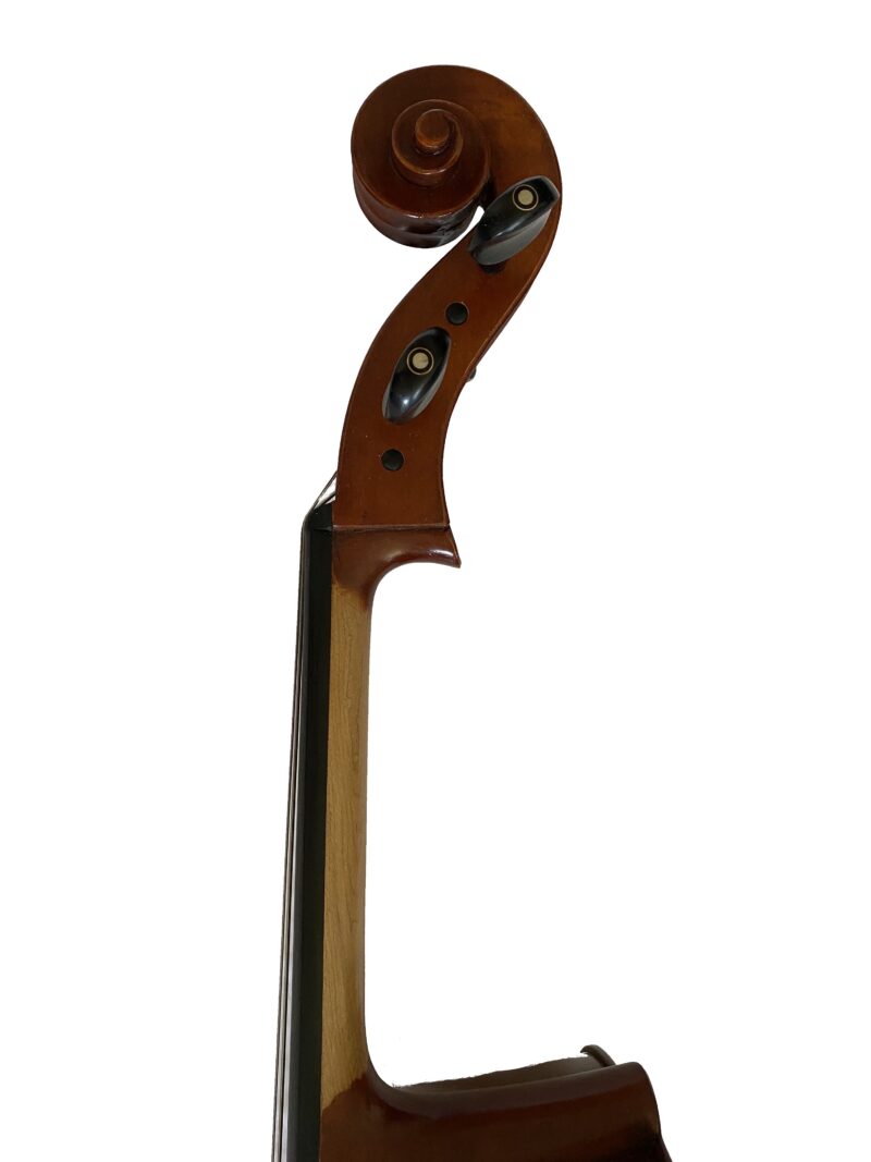 VIOLONCELLO FENICE STUDENT SET C 3/4 - immagine 3